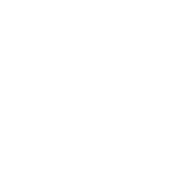 Ana Luisa