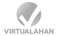 virtualahan_b